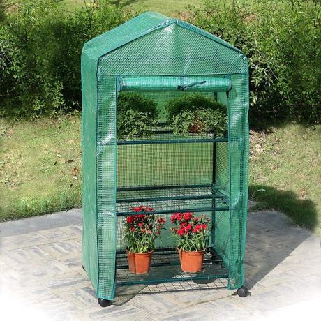 Gewächshaus klein besonders für Stecklinge und Setzlinge geeignet Gewächshaus klein besonders für Stecklinge und Setzlinge geeignet