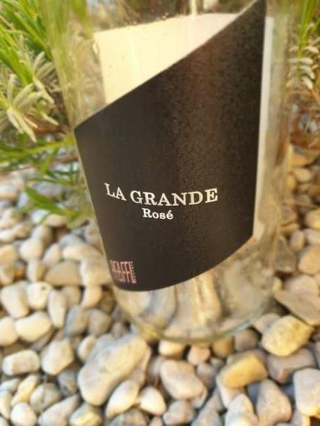 Weingut Pfaffl – Rosé LA GRANDE 2018 verkostet