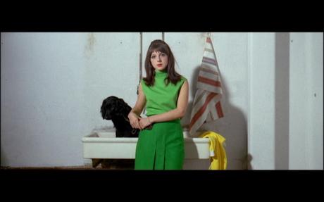 THE LOOK OF MADE IN U.S.A. [1966]