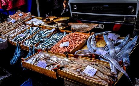 Überfischung der Meere – Fakten, Ursachen, Folgen & Lösungen Überfischung der Meere - Ursachen?