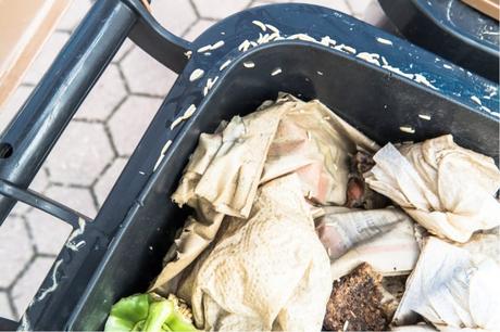 Maden in der Biotonne – erkennen, bekämpfen, vorbeugen Maden in der Biotonne – erkennen, bekämpfen, vorbeugen