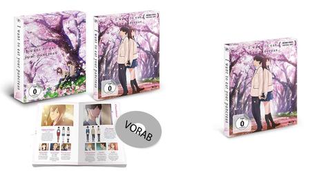 I want to eat your pancreas: Blu-Ray Limited Edition angekündigt + Cover des Films enthüllt I want to eat your pancreas: Blu-Ray Limited Edition angekündigt + Cover des Films enthüllt