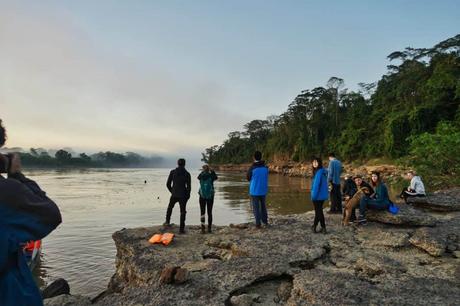 5 Tage im Amazonas – Ein Erfahrungsbericht über Tambopata Jungle Tours 5 Tage im Amazonas – Ein Erfahrungsbericht über Tambopata Jungle Tours