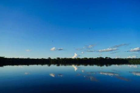 5 Tage im Amazonas – Ein Erfahrungsbericht über Tambopata Jungle Tours 5 Tage im Amazonas – Ein Erfahrungsbericht über Tambopata Jungle Tours