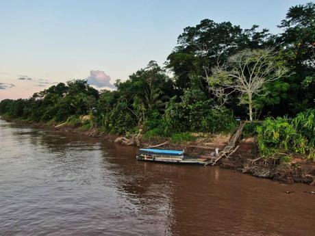 5 Tage im Amazonas – Ein Erfahrungsbericht über Tambopata Jungle Tours 5 Tage im Amazonas – Ein Erfahrungsbericht über Tambopata Jungle Tours
