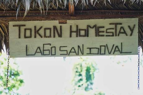 5 Tage im Amazonas – Ein Erfahrungsbericht über Tambopata Jungle Tours 5 Tage im Amazonas – Ein Erfahrungsbericht über Tambopata Jungle Tours