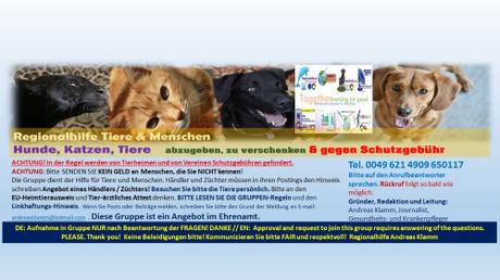Regionalhilfe Tiere (Hunde, Katzen, Tiere) abzugeben mit neuer Web-Adresse