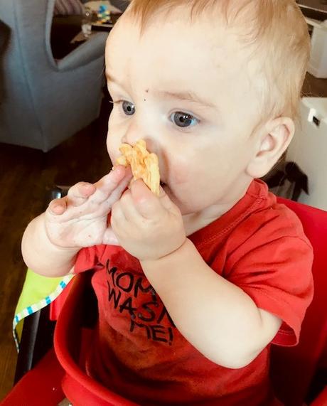BLW - Baby isst Waffel