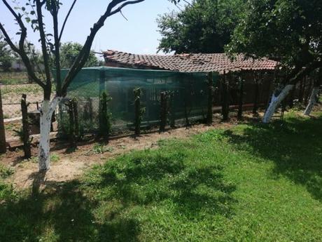 Auftrag durchgeführt Auftrag durchgeführt