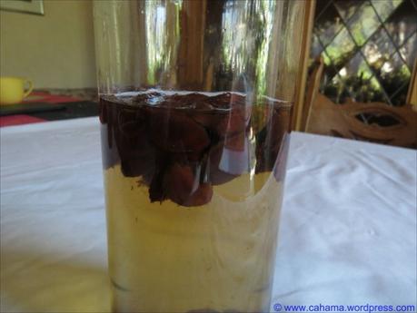 Zwetschgenkern-Likör Zwetschgenkern-Likör