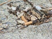 Gemeinde Santanyi will Müllsünder hart bestrafen Gemeinde Santanyi will Müllsünder hart bestrafen