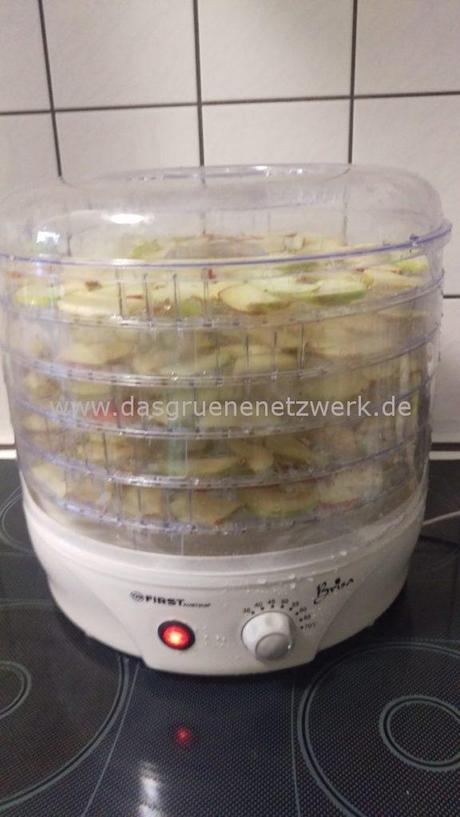 Apfel auf dem Blech in Quark/Ölteig