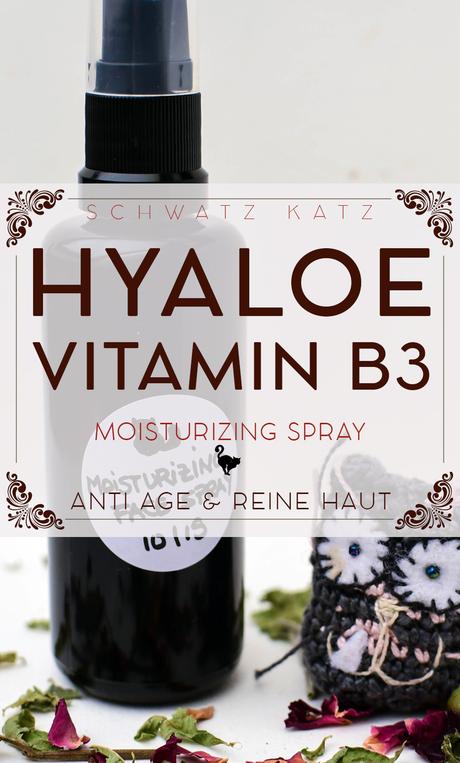 »Hyaloe B3« Moisturizing Face Spray | Schwatz Katz