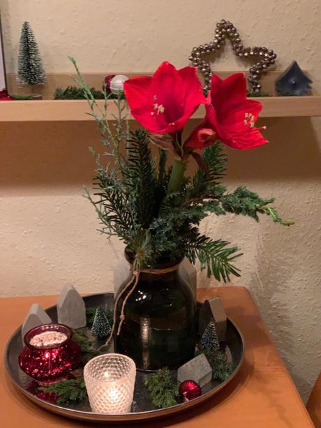 Friday-Flowerday – oder – Weihnachtliche Amaryllis