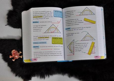 Mathe Notebook: Geballtes Wissen von Klasse 5 bis 9
