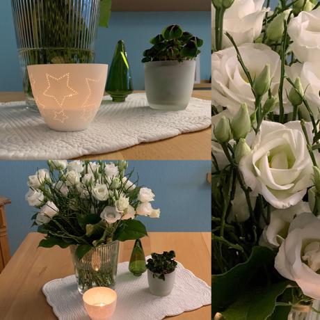Friday-Flowerday – oder – Weiße Blumen nach dem „Entweihnachten“
