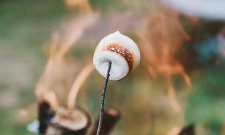 15 Lebensmittel die überraschend nicht vegetarisch und vegan sind Nicht vegetarische Lebensmittel - Marshmallows