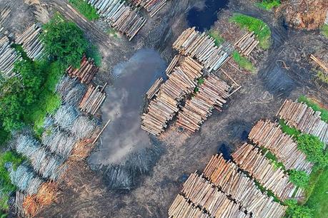 Massentierhaltung – Was ist das eigentlich? Massentierhaltung und die Folgen für die Umwelt