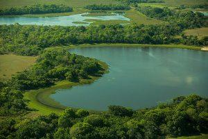 Blick auf das Pantanal (© Embratur)