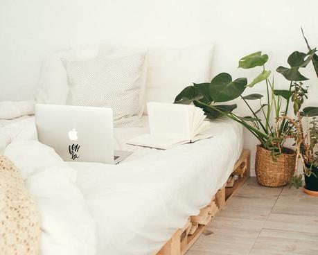 10 Schlafzimmer Pflanzen für einen gesünderen Schlaf Schlafzimmer Pflanzen fürs Bett