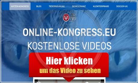 Der Online-Kongress.eu für Katzen ist online