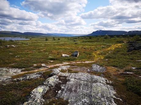 Der nördliche Kungsleden – von Jäkkvik bis Ammarnäs