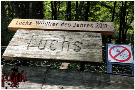 #1017 [On Tour] Zuhause in Bayern 2017