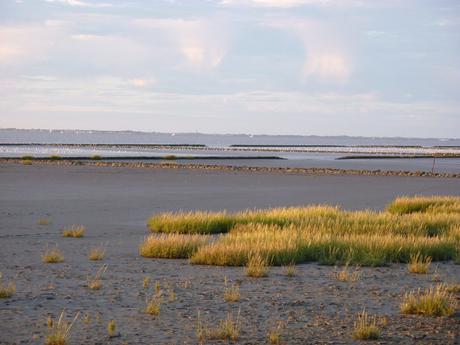 Wassertemperatur Norddeich Wassertemperatur Norddeich