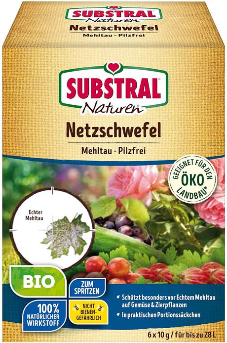 3 Produkte, um Pilze im Garten zu bekämpfen SUBSTRAL Naturen Bio Netzschwefel bei den ersten Anzeichen eines Befalls