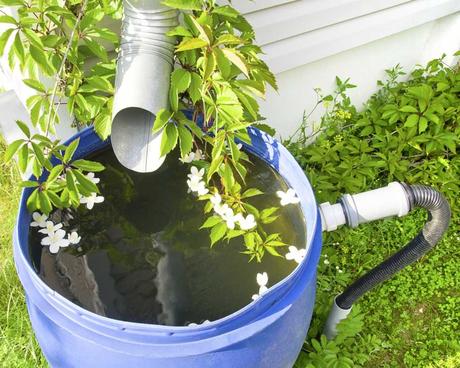 3 Regentonnen für eine Bewässerung des Gartens mit Regenwasser Regentonne mit Regenrinne