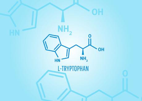 L-Tryptophan: Test & Vergleich (05/2021) der besten L-Tryptophan Präparate L-Tryptophan: Test & Vergleich (05/2021) der besten L-Tryptophan Präparate