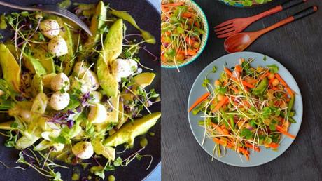 Der ultimative Guide für Microgreens und warum du sie essen solltest Salate mit Microgreens