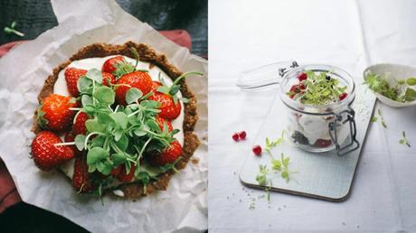 Der ultimative Guide für Microgreens und warum du sie essen solltest Dessert mit Microgreens