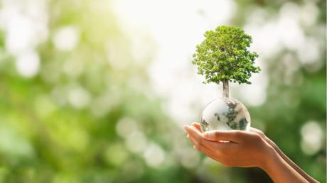 Was Sie tun können, um die Umwelt zu schonen | 10 Tipps 10 Tipps Umwelt schonen