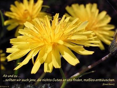 Sei echt - sei Du selbst! Sei echt - sei Du selbst!