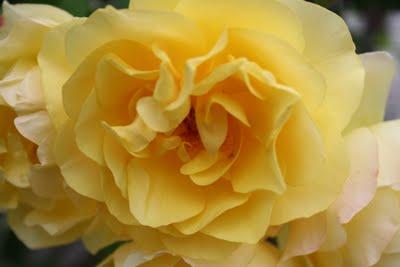 Sei echt - sei Du selbst! Sei echt - sei Du selbst!