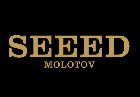 Seeed und deren neue Single “Molotov”