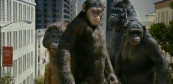 Neuer Trailer zu ‘Planet der Affen: Prevolution’