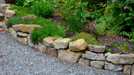 Trockenmauern bieten den Vorteil, dass kleine Pflanzen zwischen den einzelnen Mauersteinen Platz finden können!