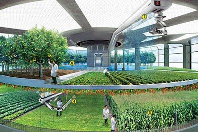 Vertical Farming - Nahrung für die Zukunft der Menschheit?