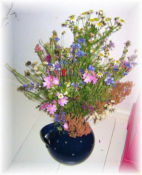 Einige Augenblicke unseres Pfingstwochenendes... Einige Augenblicke unseres Pfingstwochenendes...