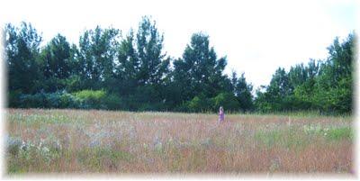 Einige Augenblicke unseres Pfingstwochenendes... Einige Augenblicke unseres Pfingstwochenendes...