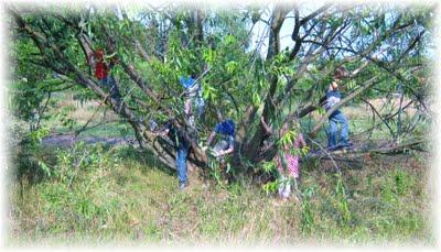 Einige Augenblicke unseres Pfingstwochenendes... Einige Augenblicke unseres Pfingstwochenendes...