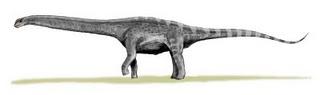 Argentinosaurus war der größte Dinosaurier