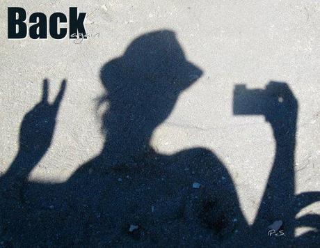 Back again Back again