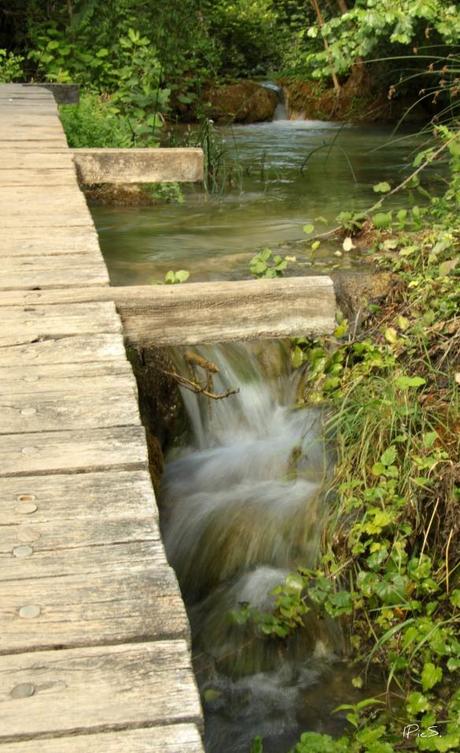 Wasserfall Back again