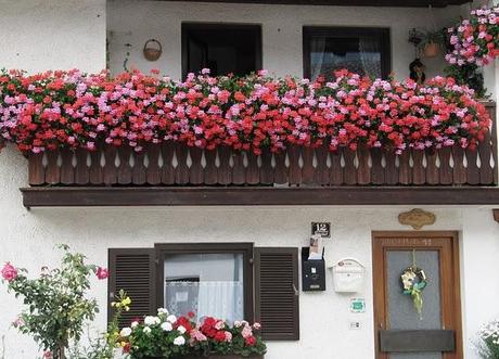 Schwangau: Des Sommers flammende Farben im Dorf der Königsschlösser