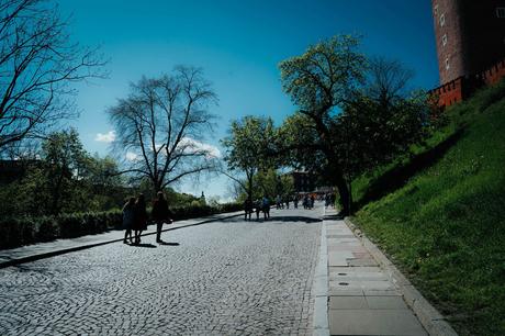 Die 10 besten Sehenswürdigkeiten in Krakau Unter einem klaren blauen Himmel gehen Menschen auf einem sonnenbeschienenen, von Bäumen gesäumten Kopfsteinpflasterweg auf einem Hang entlang.