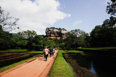 Digitaler Nomade in Tansania: Arbeiten zwischen Serengeti und Sansibar Digitaler Nomade in Tansania: Arbeiten zwischen Serengeti und Sansibar