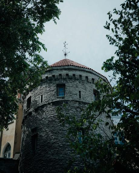 Tallinn: Die 10 besten Sehenswürdigkeiten Vor einem bewölkten Himmel in Tallinn steht ein runder Steinturm mit rotem Dach, das teilweise von grünen Ästen verdeckt wird.